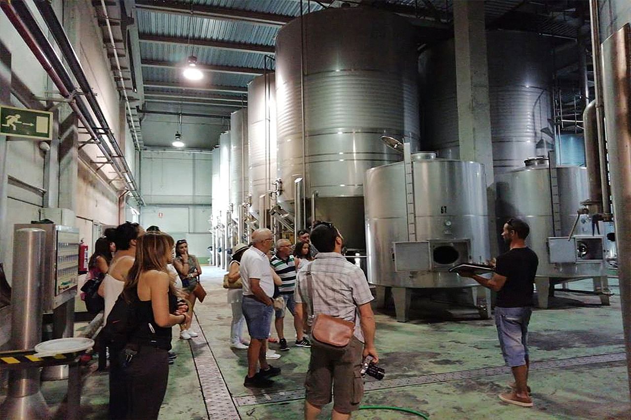 Visita a las viñas de la Bodega Vinícola Arganda - ©Comunidad de Madrid
